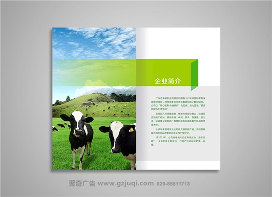 廣州品牌畫冊設(shè)計(jì)公司